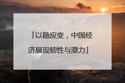 以稳应变,中国经济展现韧性与潜力