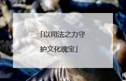 以司法之力守护文化瑰宝
