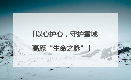 以心护心，守护雪域高原“生命之脉”