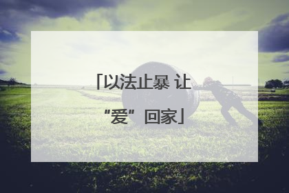 以法止暴 让“爱”回家