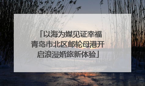 以海为媒见证幸福 青岛市北区邮轮母港开启浪漫婚旅新体验