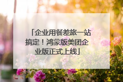 企业用餐差旅一站搞定！鸿蒙版美团企业版正式上线