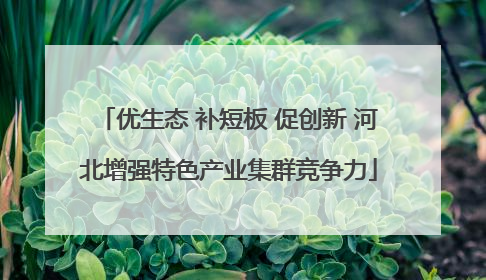 优生态 补短板 促创新 河北增强特色产业集群竞争力