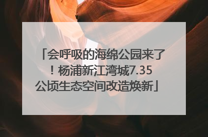 会呼吸的海绵公园来了！杨浦新江湾城7.35公顷生态空间改造焕新