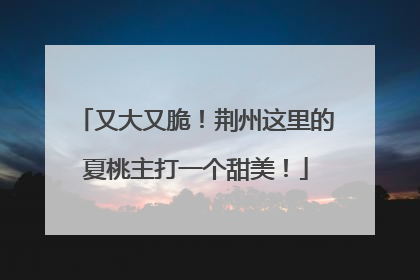 又大又脆！荆州这里的夏桃主打一个甜美！