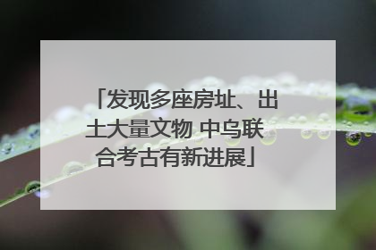 发现多座房址、出土大量文物 中乌联合考古有新进展
