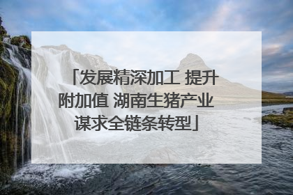 发展精深加工 提升附加值 湖南生猪产业谋求全链条转型