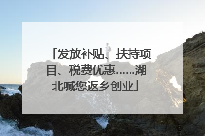发放补贴、扶持项目、税费优惠……湖北喊您返乡创业