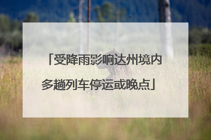 受降雨影响达州境内多趟列车停运或晚点