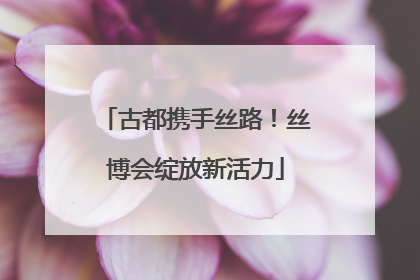 古都携手丝路！丝博会绽放新活力