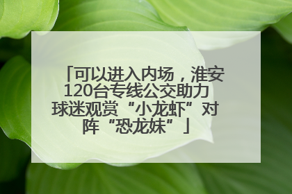 可以进入内场，淮安120台专线公交助力球迷观赏“小龙虾”对阵“恐龙妹”