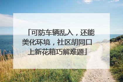 可防车辆乱入，还能美化环境，社区胡同口上新花箱巧解难题