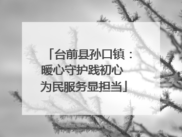 台前县孙口镇：暖心守护践初心 为民服务显担当