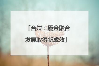 台媒：厦金融合发展取得新成效