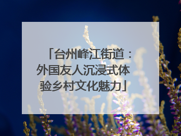 台州峰江街道：外国友人沉浸式体验乡村文化魅力