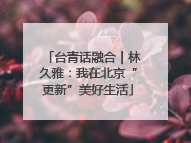 台青话融合｜林久雅：我在北京“更新”美好生活