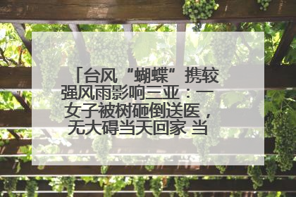 台风“蝴蝶”携较强风雨影响三亚：一女子被树砸倒送医，无大碍当天回家 当地已紧急清障