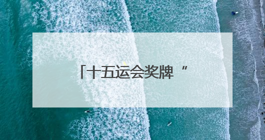 十五运会奖牌“同心跃”发布