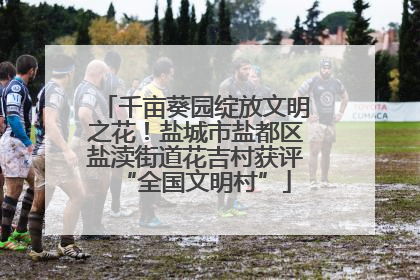 千亩葵园绽放文明之花！盐城市盐都区盐渎街道花吉村获评“全国文明村”