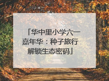 华中里小学六一嘉年华：种子旅行解锁生态密码