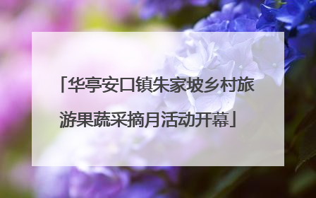 华亭安口镇朱家坡乡村旅游果蔬采摘月活动开幕