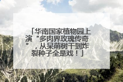 华南国家植物园上演“多肉界玫瑰传奇”，从呆萌树干到炸裂种子全是戏！