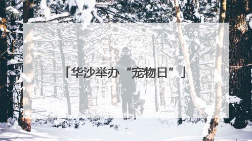 华沙举办“宠物日”