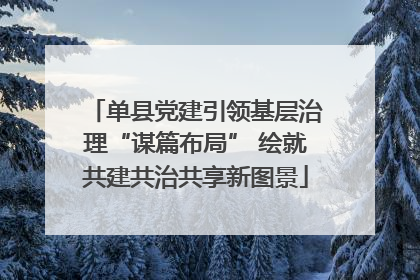 单县党建引领基层治理“谋篇布局” 绘就共建共治共享新图景