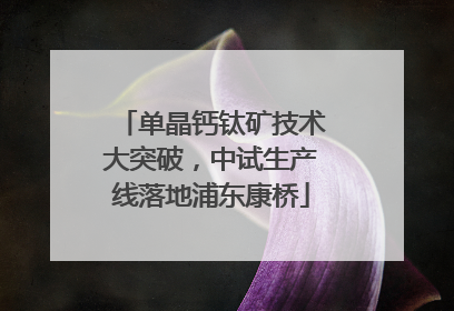 单晶钙钛矿技术大突破，中试生产线落地浦东康桥