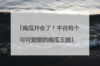 南瓜开会了！平谷有个可可爱爱的南瓜王国