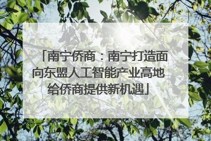 南宁侨商：南宁打造面向东盟人工智能产业高地给侨商提供新机遇
