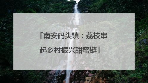 南安码头镇：荔枝串起乡村振兴甜蜜链