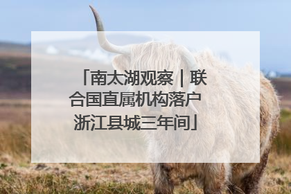 南太湖观察｜联合国直属机构落户浙江县城三年间