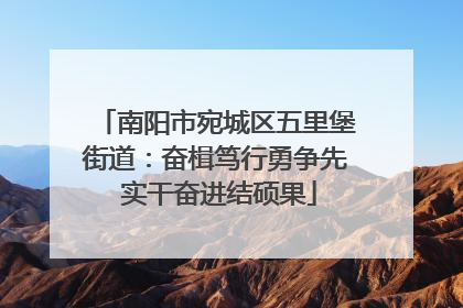 南阳市宛城区五里堡街道：奋楫笃行勇争先 实干奋进结硕果