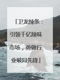 卫龙辣条：引领千亿辣味市场，勇做行业破局先锋