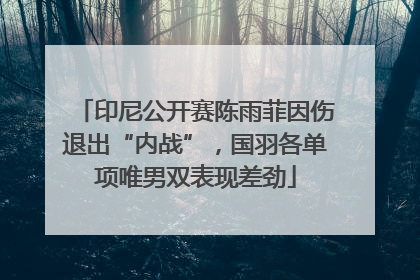 印尼公开赛陈雨菲因伤退出“内战”，国羽各单项唯男双表现差劲