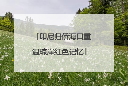 印尼归侨海口重温琼崖红色记忆