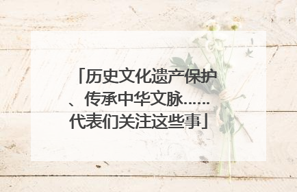 历史文化遗产保护、传承中华文脉……代表们关注这些事