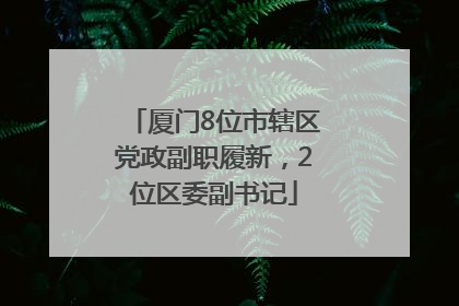 厦门8位市辖区党政副职履新，2位区委副书记