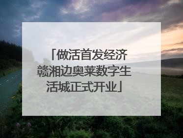 做活首发经济 赣湘边奥莱数字生活城正式开业
