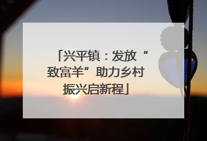 兴平镇：发放“致富羊”助力乡村振兴启新程