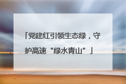 党建红引领生态绿，守护高速“绿水青山”