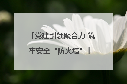 党建引领聚合力 筑牢安全“防火墙”
