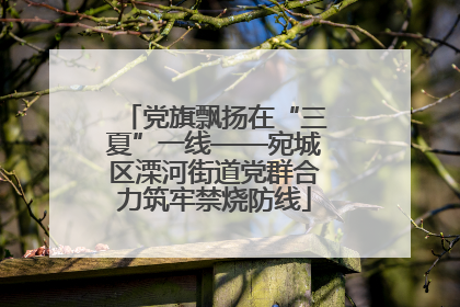 党旗飘扬在“三夏”一线——宛城区溧河街道党群合力筑牢禁烧防线