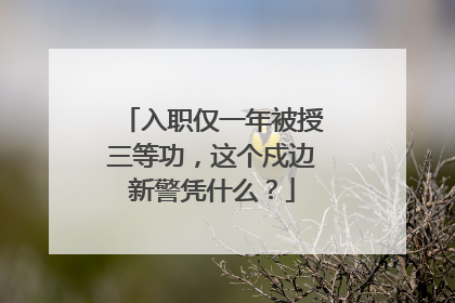 入职仅一年被授三等功，这个戍边新警凭什么？