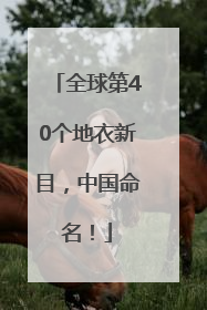 全球第40个地衣新目，中国命名！