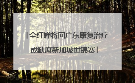 全红婵将回广东康复治疗 或缺席新加坡世锦赛