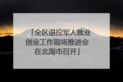 全区退役军人就业创业工作现场推进会在北海市召开