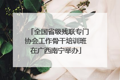全国省级残联专门协会工作骨干培训班在广西南宁举办