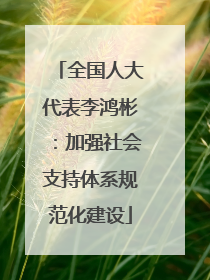 全国人大代表李鸿彬：加强社会支持体系规范化建设
